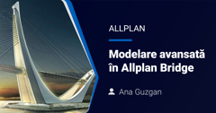 Allplan Bridge- Modelare Parametrica- Avansati