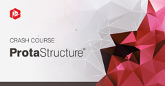 Crash Course ProtaStructure